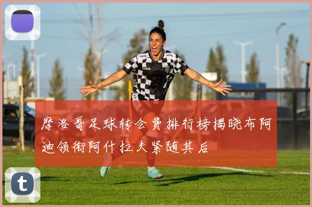 摩洛哥足球转会费排行榜揭晓布阿迪领衔阿什拉夫紧随其后